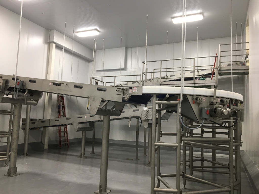 Food Conveyor Line for Manufacturing Plant